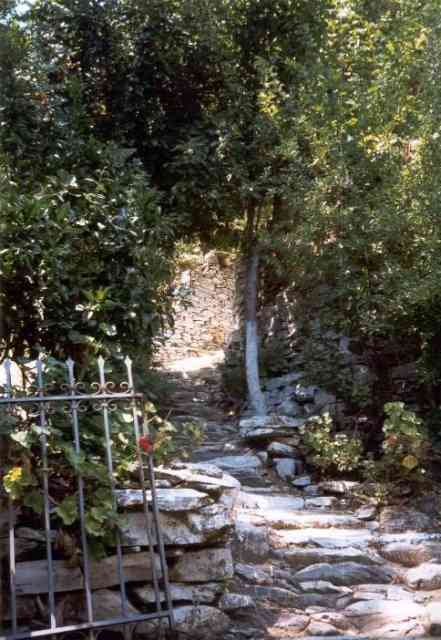 Samos jardin